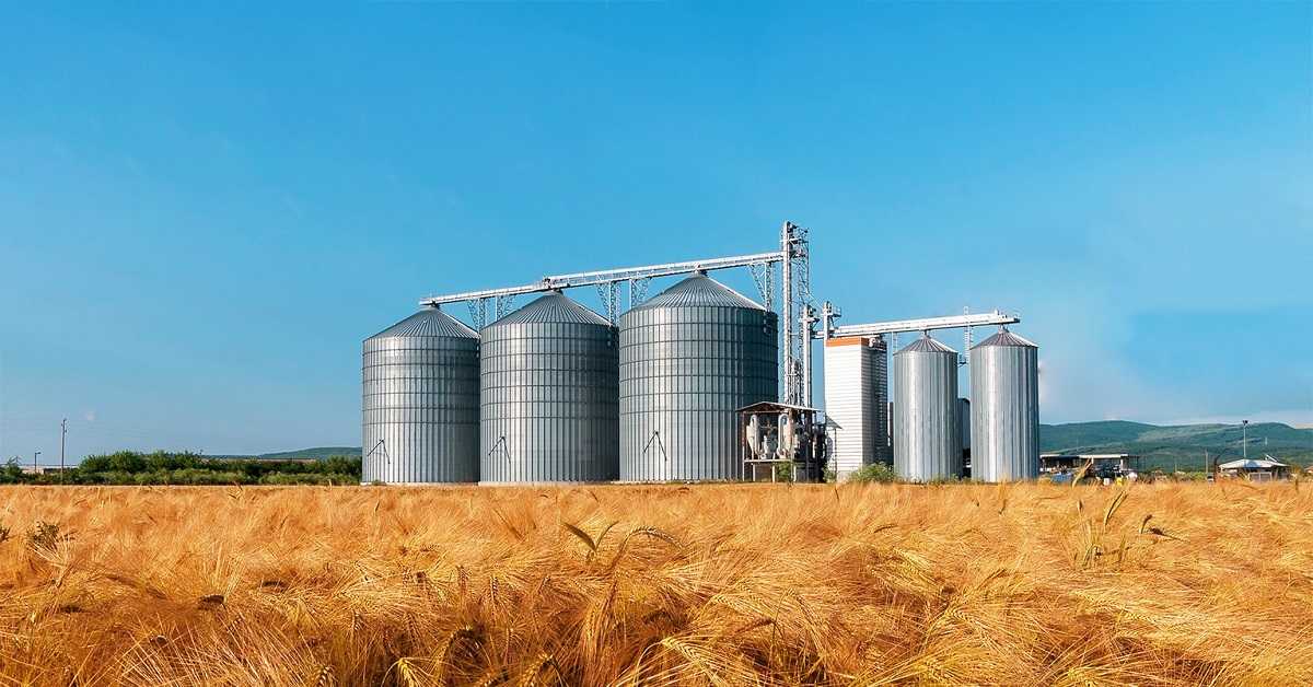 Tarfin Emanet Tarfin